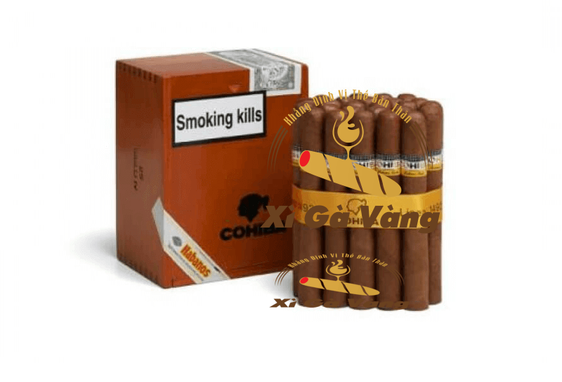 Cohiba Siglo VI nổi tiếng với hương vị thơm ngon